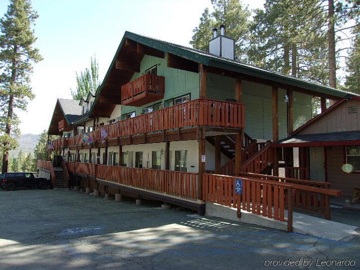 Honey Bear Lodge & Cabins Big Bear Lake Exterior foto